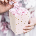 6 Boîtes à pop-corn Dots - rose clair