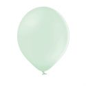 10 Ballon Strong 27cm - Pastel Pistachio