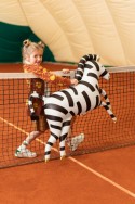 Ballon en Mylar Zebra, 115x85cm, mélange