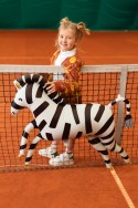Ballon en Mylar Zebra, 115x85cm, mélange