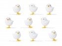 Poussin de Pâques, blanc, 7 cm