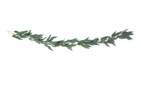 Guirlande de feuilles de...