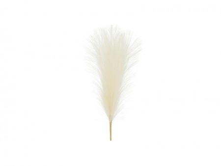 Herbes de pampa...