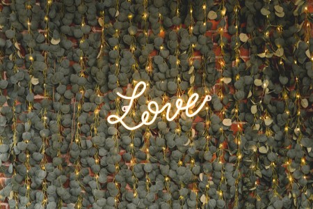 Guirlande Eucalyptus - LED,...
