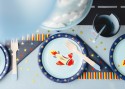 Assiettes d'anniversaire Avion, 18x18 cm, mix
