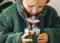 Manchons pour gobelets Dinosaure, mix