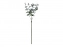Branche d'eucalyptus, 60 cm