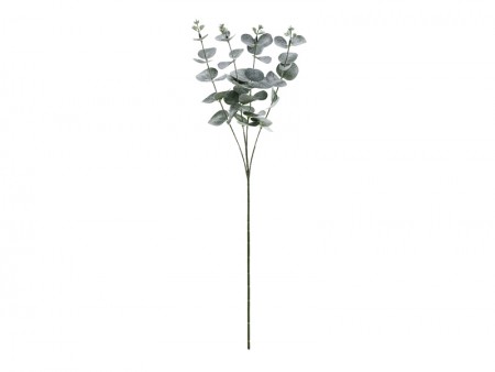 Branche d'eucalyptus, 60 cm