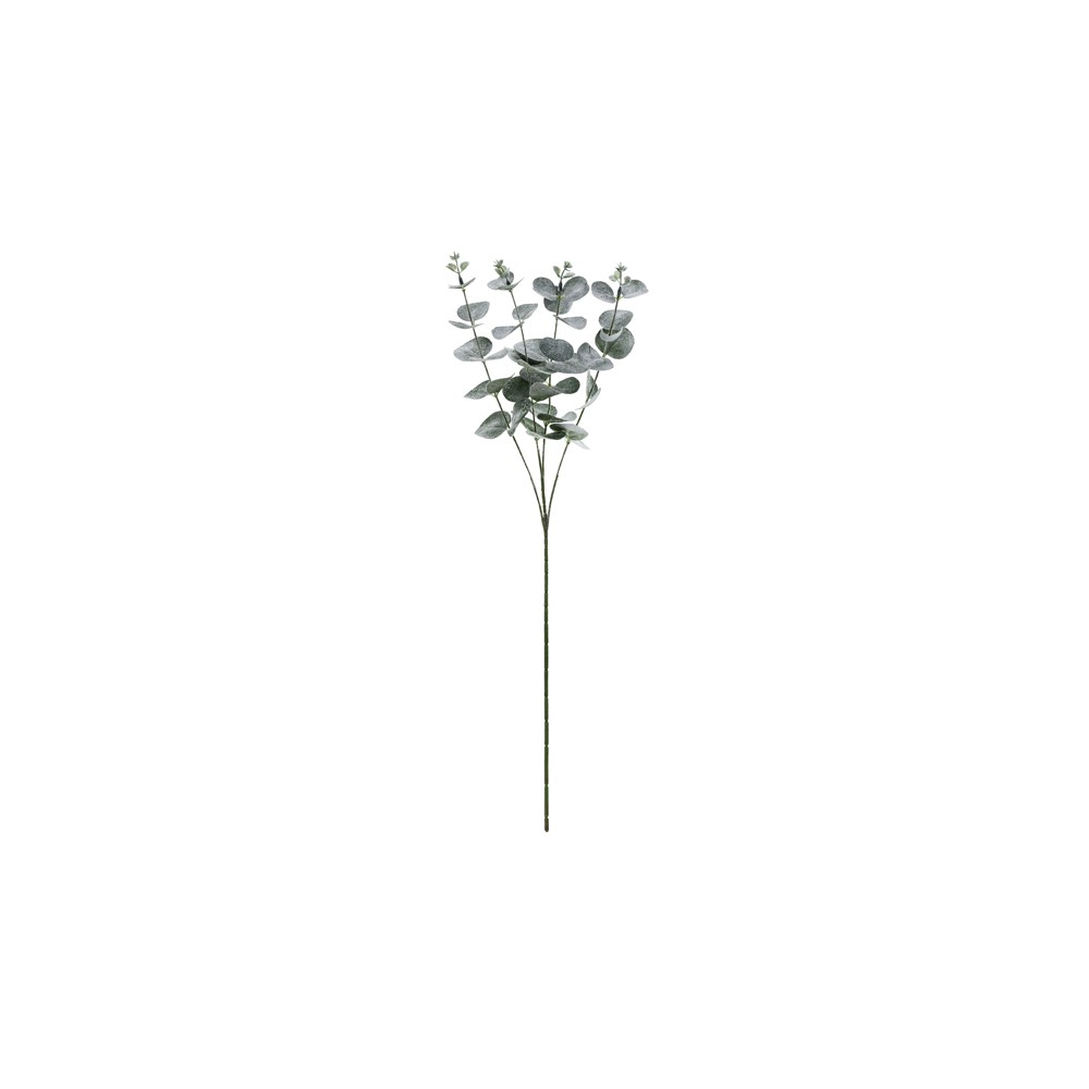 Branche d'eucalyptus, 60 cm