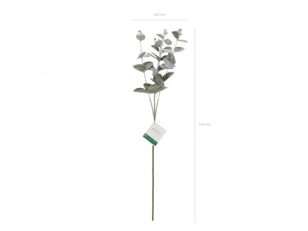 Branche d'eucalyptus, 60 cm