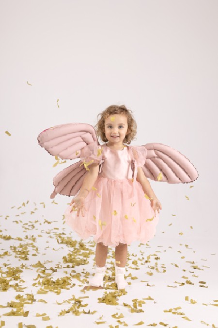 Ballon en foil Ailes de...