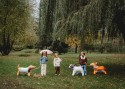 Ballon en Mylar Teckel Debout, 89x58 cm, mix