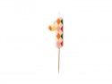 Bougie d'anniversaire Numéro 1 Losange, 5.5 cm, mix