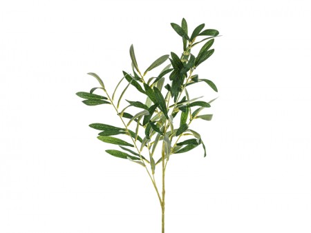 Branche d'olivier, 91 cm