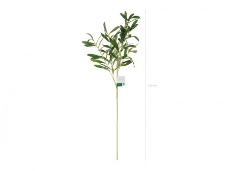 Branche d'olivier, 91 cm