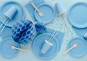Assiettes en papier, bleu clair, 23 cm