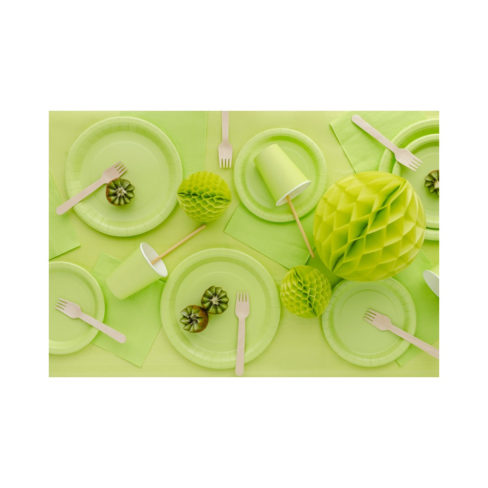 Assiettes en papier, vert clair, 23 cm