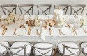 Assiettes en papier décoratives avec ornement, blanc, 26 cm