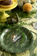 Assiettes Jurassic World, 23 cm, Mix