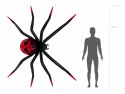 Ballon aluminium sur pied Araignée XXL, 275x152 cm, noir et rouge