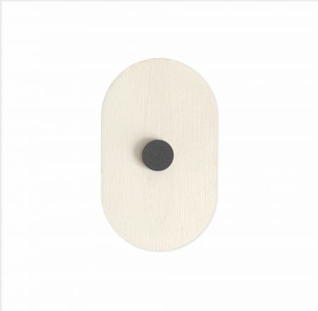 Lot de 10 aimants en bois...