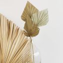 10 feuilles naturelles "palm spear"