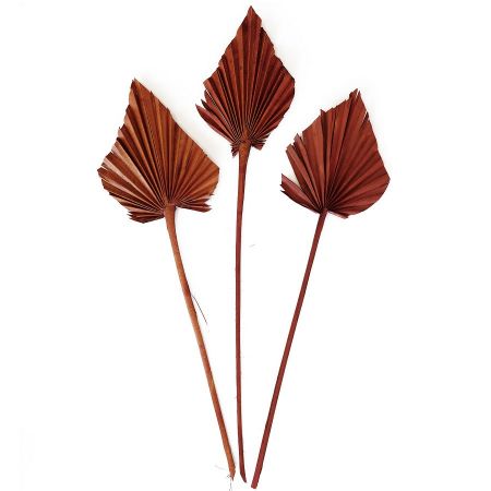 10 feuilles terracotta...