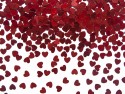 Confettis Cœurs , rouges, 30g, 5mm