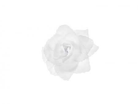 Roses autocollantes,...