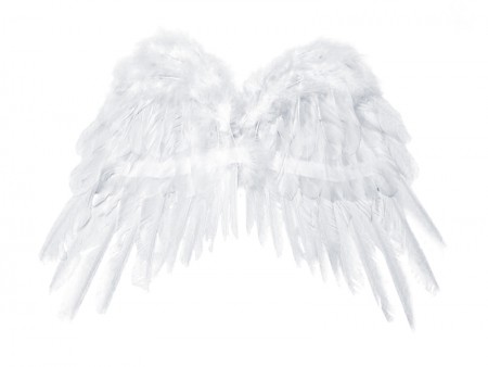 Ailes d'ange, blanches, 53...