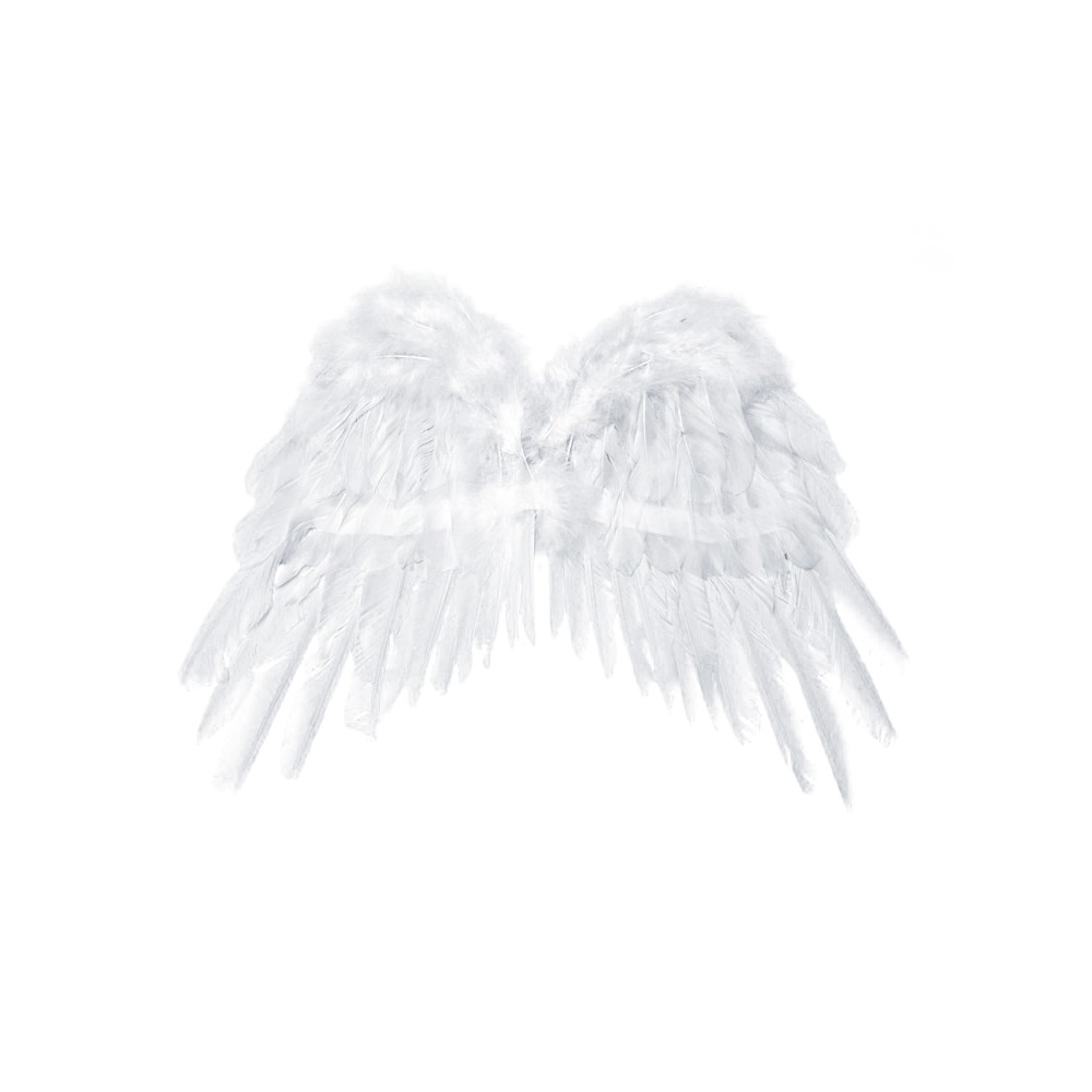 Ailes d'ange, blanches, 53 x 37cm