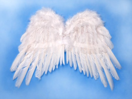 Ailes d'ange, blanches, 53...