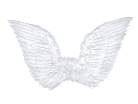 Ailes d'ange, blanhesc, 75...