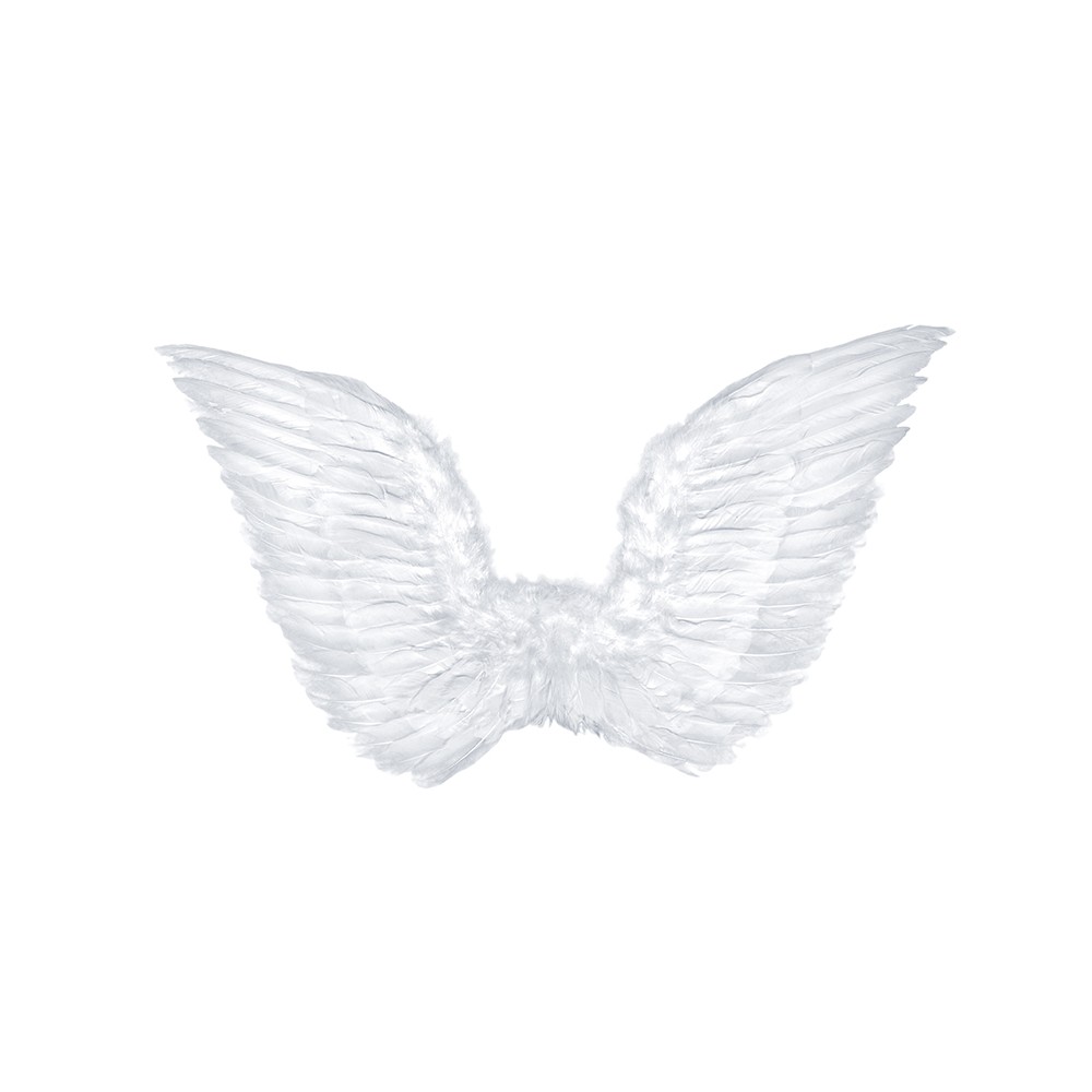 Ailes d'ange, blanhesc, 75 x 45cm