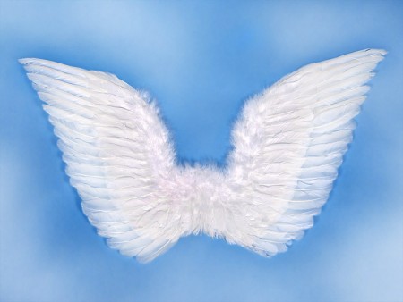 Ailes d'ange, blanhesc, 75...