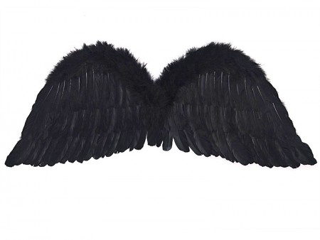 Ailes d'ange, noir, 75 x 30 cm