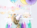 Confettis Cracers Assortiment 3x17x3,5cm