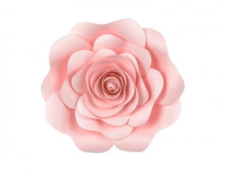 Fleurs en papier, rose,...