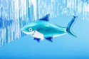 Ballon en Mylar Requin, 102x62 cm, mélange
