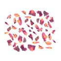 Confettis naturels - fleurs séchées