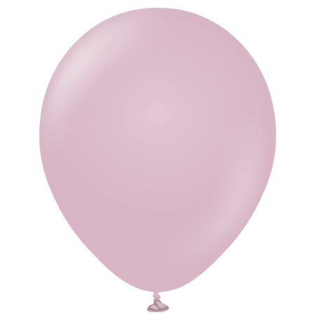 10 ballons rose sauvage -...