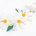 Guirlande de marguerites