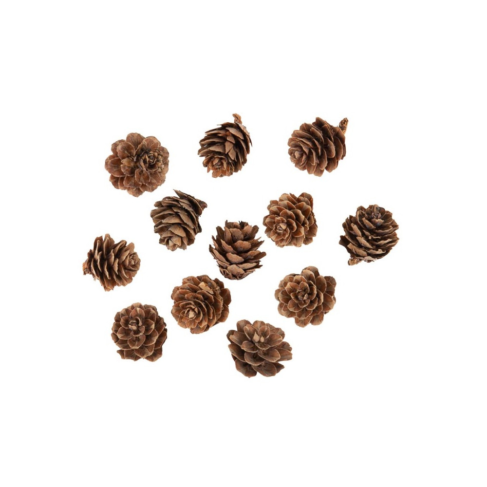 12 pommes de pin - 2 cm