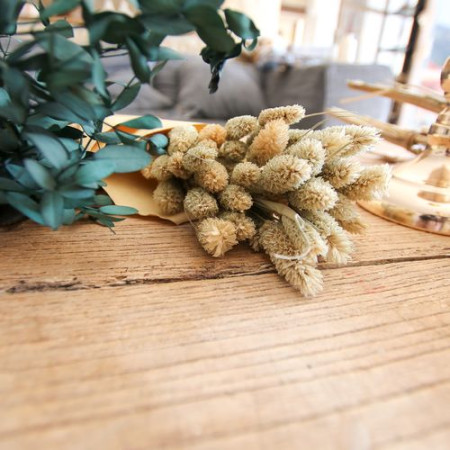 Bouquet séché naturel...