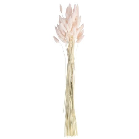 Bouquet séché "plumeaux...