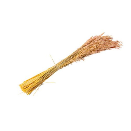 Bouquet séché "avoine rosé"...