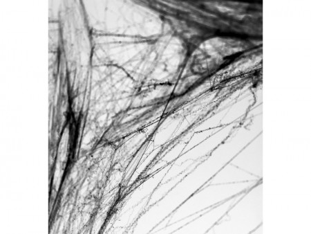 Toile d'araignée...