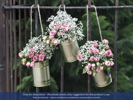 5 Boîtes de conserve...