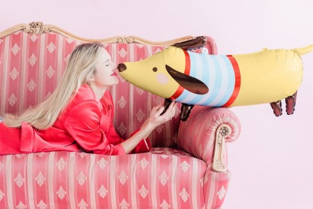 Ballon en mylar Teckel