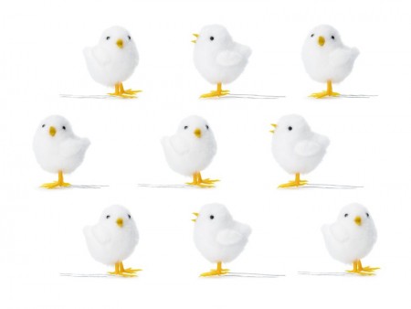 9 Poussin de Pâques - blanc
